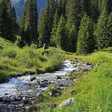Gallfallalm Chalet