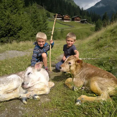 Chalet Gallfallalm Santa Maddalena in Casies Valbassa